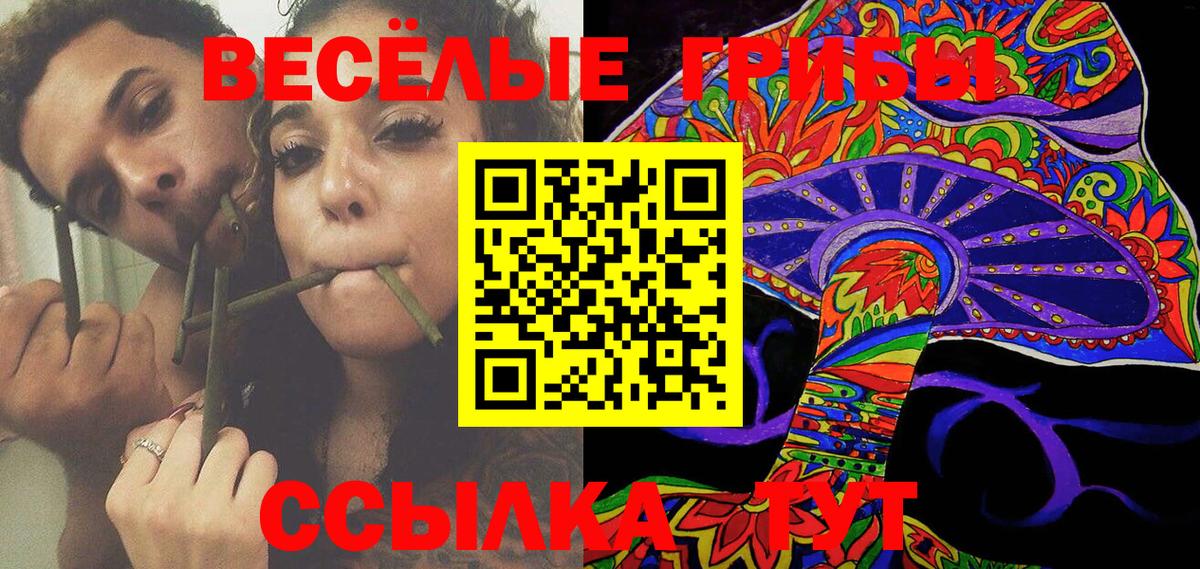Псилоцибиновые грибы MAGIC MUSHROOMS Махачкала