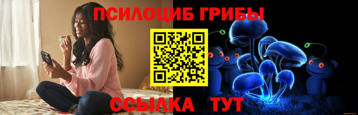 Махачкала  Псилоцибиновые грибы мицелий  Вход с VPN 